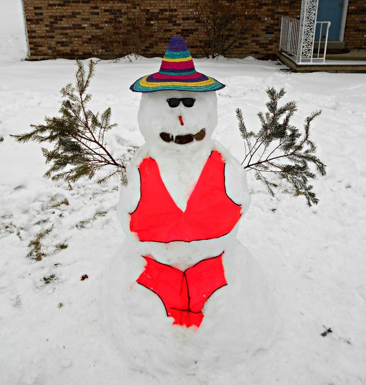 "Snowman Seeking Summer," Photo by Joanne Lloyd, Mifflinburg